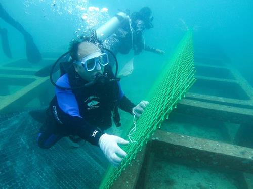 船体海生物清理